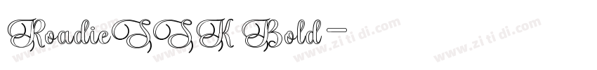 RoadieSSK Bold字体转换
